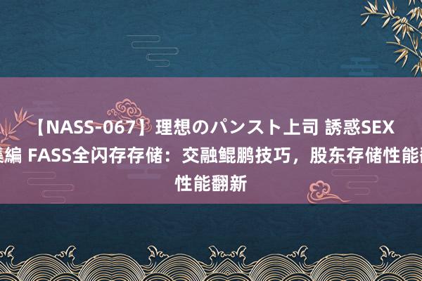 【NASS-067】理想のパンスト上司 誘惑SEX総集編 FASS全闪存存储：交融鲲鹏技巧，股东存储性能翻新