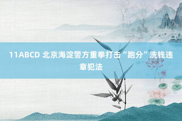 11ABCD 北京海淀警方重拳打击“跑分”洗钱违章犯法