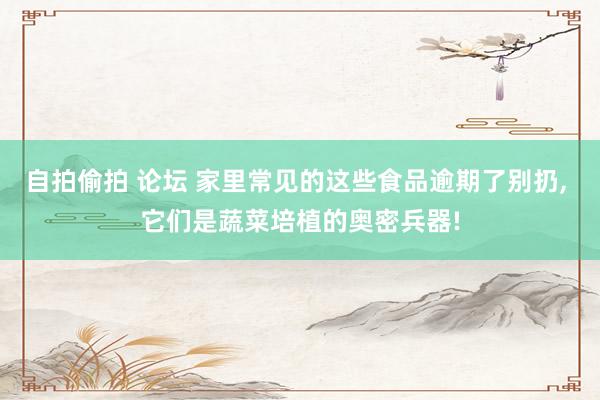 自拍偷拍 论坛 家里常见的这些食品逾期了别扔， 它们是蔬菜培植的奥密兵器!
