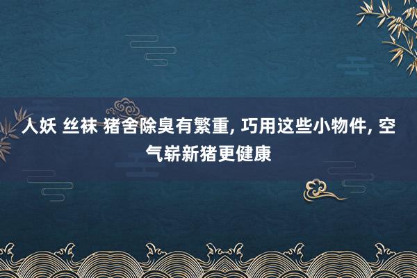 人妖 丝袜 猪舍除臭有繁重， 巧用这些小物件， 空气崭新猪更健康
