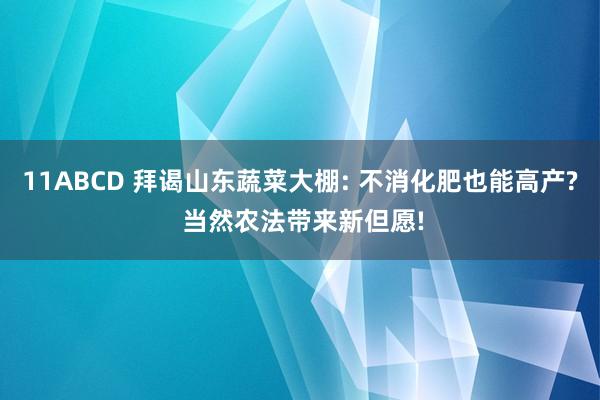 11ABCD 拜谒山东蔬菜大棚: 不消化肥也能高产? 当然农法带来新但愿!