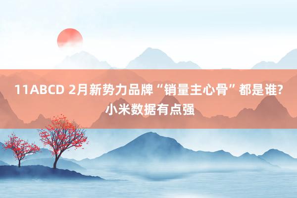 11ABCD 2月新势力品牌“销量主心骨”都是谁? 小米数据有点强
