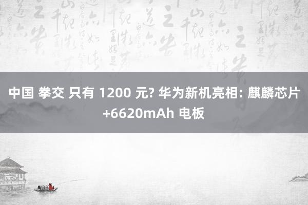 中国 拳交 只有 1200 元? 华为新机亮相: 麒麟芯片+6620mAh 电板