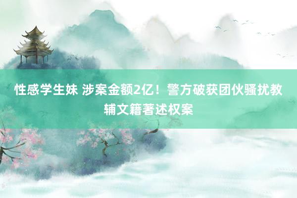 性感学生妹 涉案金额2亿！警方破获团伙骚扰教辅文籍著述权案