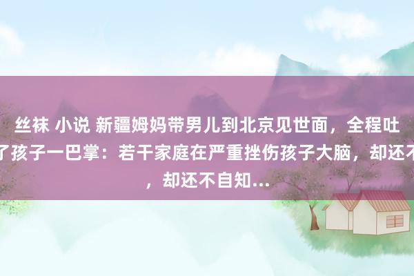 丝袜 小说 新疆姆妈带男儿到北京见世面，全程吐槽还打了孩子一巴掌：若干家庭在严重挫伤孩子大脑，却还不自知...