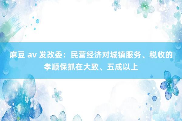 麻豆 av 发改委：民营经济对城镇服务、税收的孝顺保抓在大致、五成以上