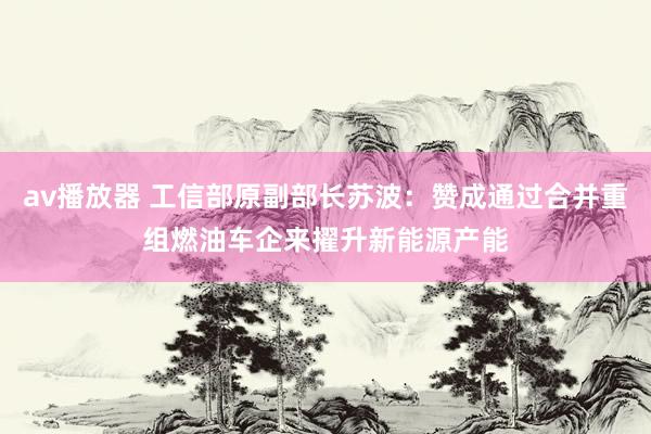 av播放器 工信部原副部长苏波：赞成通过合并重组燃油车企来擢升新能源产能
