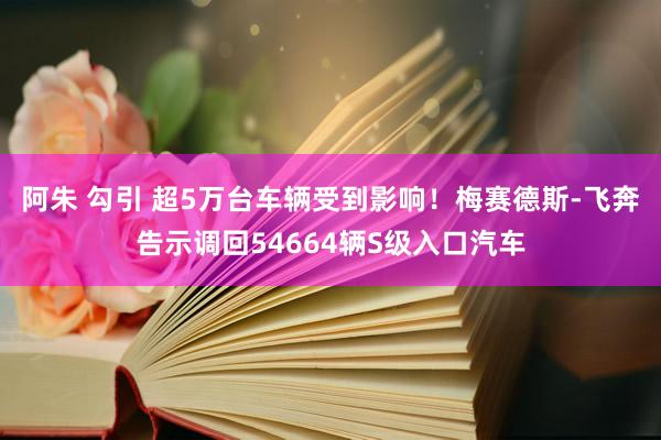 阿朱 勾引 超5万台车辆受到影响！梅赛德斯-飞奔告示调回54664辆S级入口汽车