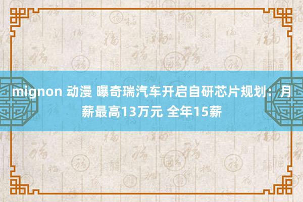 mignon 动漫 曝奇瑞汽车开启自研芯片规划：月薪最高13万元 全年15薪