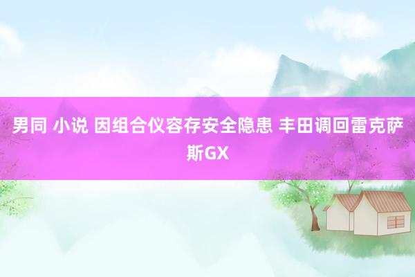 男同 小说 因组合仪容存安全隐患 丰田调回雷克萨斯GX