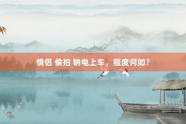 情侣 偷拍 钠电上车，程度何如？